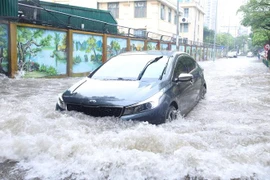 Ảnh minh họa. (Ảnh: Hoàng Hiếu/TTXVN)