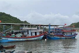 Các tàu thuyền khẩn trương được gia cố khi neo đậu tại các cảng cá. (Ảnh: Sỹ Thắng/TTXVN)