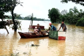 Hỗ trợ người dân di dời tới nơi an toàn. (Ảnh: Tá Chuyên/TTXVN)