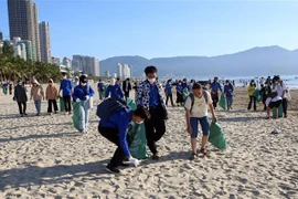 Các tình nguyện viên tham gia nhặt rác, dọn vệ sinh môi trường trên bãi biển Đà Nẵng. (Ảnh: Trần Lê Lâm/TTXVN)