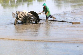 Nông dân làm đất chuẩn bị xuống giống lúa Đông Xuân. (Ảnh: Duy Khương/TTXVN)