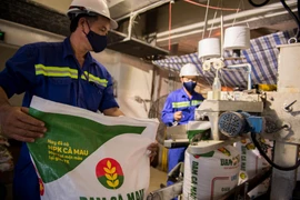 Người lao động PVCFC. (Ảnh: Vietnam+)