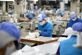 Số doanh nghiệp đã được VCCI đăng ký mã số REX là 429, chiếm 10,7% trên tổng số hơn 4.000 thương nhân đang đề nghị cấp C/O mẫu A. (Ảnh: PV/Vietnam+)