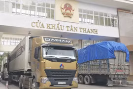 Xuất nhập khẩu hàng hóa tại cửa khẩu Tân Thanh, Lạng Sơn. (Ảnh: Vietnam+)