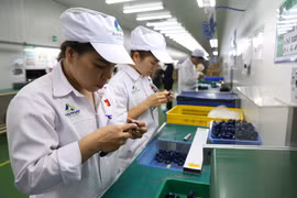 Doanh nghiệp đầu tư công nghệ đón đầu các hiệp định thương mại mới. (Ảnh: Xuân Quảng/Vietnam+)