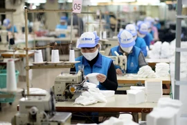 Tính đến ngày 15/4, Vinatex đã cung ứng thị trường trong nước khoảng 80 triệu chiếc khẩu trang các loại. (Ảnh: Đức Duy/Vietnam+)