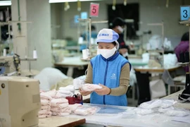 Doanh nghiệp dệt may sản xuất khẩu trang phục vụ thị trường. (Ảnh: Đức Duy/Vietnam+)