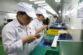 Doanh nghiệp đầu tư công nghệ đón đầu các hiệp định thương mại mới. (Ảnh: Xuân Quảng/Vietnam+)