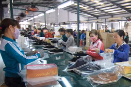 Các FTA mở cơ hội để doanh nghiệp kết nối khách hàng, tăng xuất khẩu. (Ảnh: Đức Duy/Vietnam+)