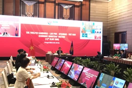 Hội nghị Bộ trưởng Kinh tế các nước CLMV lần thứ 12 tổ chức trực tuyến. (Ảnh: Đức Duy/Vietnam+)