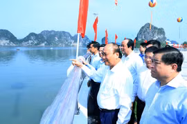 Thủ tướng Nguyễn Xuân Phúc dự lễ khánh thành cầu bài thơ và đường bao biển Trần Quốc Nghiên. (Ảnh: TTXVN)