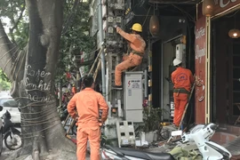 Nhân viên EVN kiểm tra và bảo dưỡng côngtơ điện. (Nguồn: Đức Duy/Vietnam+)