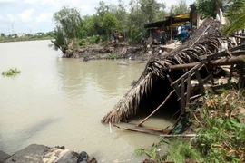 Ảnh minh họa. (Nguồn: TTXVN)