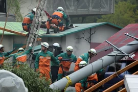 Diễn tập đối phó thảm họa động đất tại Nhật Bản. (Nguồn: AFP/TTXVN)