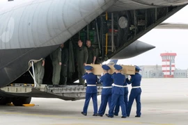 Binh sỹ Ukraine chuyển quan tài các nạn nhân cuối cùng của vụ rơi máy bay MH17 lên máy bay của Không lực Hoàng gia Hà Lan. (Nguồn: AFP/TTXVN)