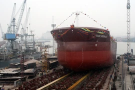 Khai thác tuyến vận tải container nối Hải Phòng với Hàn Quốc 