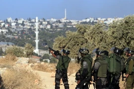 Lực lượng Israel lại bắt giữ hàng chục dân thường Palestine