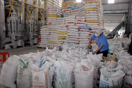 Kim ngạch thương mại Việt Nam-Mexico vượt mốc 1,8 tỷ USD