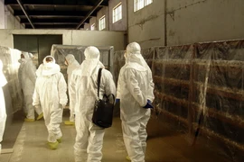 IAEA cảnh báo nguy cơ khủng bố tấn công các cơ sở hạt nhân 