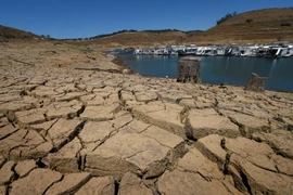 Ảnh minh họa. (Nguồn: AFP/TTXVN)