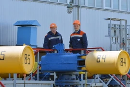 Công nhân vận hành một trạm bơm thuộc đường ống dẫn khí đốt tại thị trấn Boyarka ở Kiev, Ukraine. (Nguồn: AFP/TTXVN)