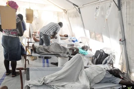 LHQ ca ngợi Cuba trong cuộc chiến chống dịch tả tại Haiti