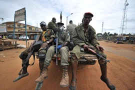 Liên hợp quốc cấm các nước cung cấp vũ khí cho Côte d'Ivoire