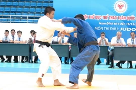 Ảnh minh họa. (Ảnh: Nguyễn Văn Trường/TTXVN)