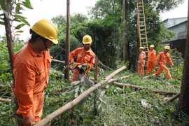 Công nhân Công ty Điện lực Sóc Sơn cắt tỉa cây trong hành lang bảo vệ an toàn lưới điện tại xã Trung Giã, huyện Sóc Sơn, Hà Nội. (Ảnh: Ngọc Hà/TTXVN)