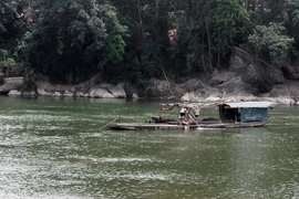 (Ảnh minh họa: Văn Tý/TTXVN) 