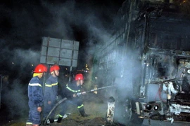 (Ảnh minh họa: Dương Trí/TTXVN)