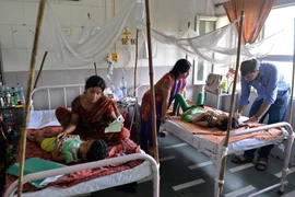 Bệnh nhân sốt xuất huyết được điều trị tại bệnh viện ở New Delhi. (Nguồn: AFP/TTXVN)