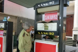 (Ảnh minh họa: Hải Âu/TTXVN) 