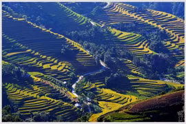 (Ảnh: Thanh Hà/TTXVN)