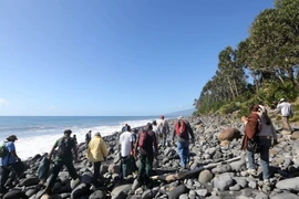 Các nhân viên bảo vệ môi trường và bờ biển tiếp tục tìm kiếm mảnh vỡ máy bay MH370 trên đảo Reunion ngày 10/8. (Nguồn: AFP/TTXVN)