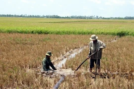 Nắng nóng mở rộng sang một số nơi ở các tỉnh Đông Bắc Bộ