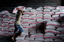 Zimbabwe nhập khẩu 700.000 tấn ngô để ngăn chặn nạn đói