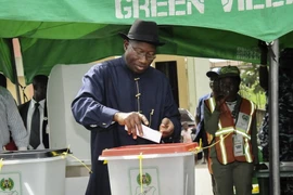 Ủy ban bầu cử Nigeria bắt đầu điều tra các cáo buộc gian lận