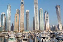 UAE nối lại các cuộc không kích nhằm vào mục tiêu của IS