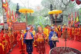 Nghi lễ dâng Cỏ voi của thôn Yên Sào, xã Xuân Giang tại Lễ khai mạc hội Gióng 2015. (Ảnh: Quang Quyết/TTXVN)