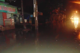 (Ảnh minh họa: Sỹ Tuyên/TTXVN)