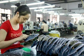 (Ảnh minh họa: Hoàng Hùng/TTXVN)