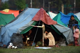 Đại sứ quán Việt Nam tại Ấn Độ cử đoàn sang Nepal hỗ trợ công dân