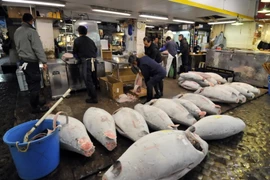 Hàn Quốc cân nhắc bỏ lệnh cấm nhập khẩu hải sản từ Nhật Bản