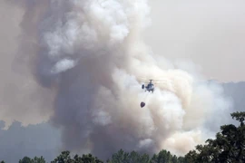 Máy bay chữa cháy tham gia dập đám cháy rừng gần làng Hoyos, Tây Ban Nha. (Nguồn: AFP/TTXVN)
