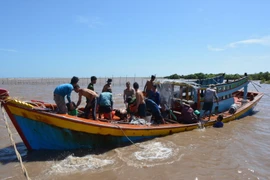 Lực lượng cứu hộ lai dắt tàu bị nạn vào bờ. (Ảnh: Trần Thị Thu Hiền/TTXVN)