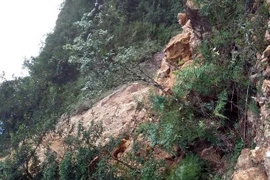 700 m3 đất đá sạt xuống gây ách tắc Quốc lộ 4D. (Ảnh: Công Hải/Vietnam+)