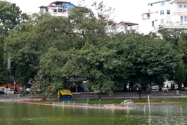 Bắc Bộ dịu mát, Nam Bộ duy trì nắng mạnh vào buổi trưa