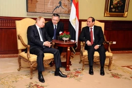 Nga giúp Ai Cập xây dựng nhà máy điện hạt nhân đầu tiên