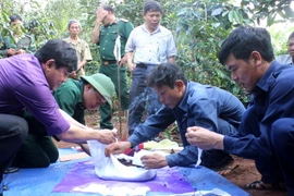 Tìm thấy hài cốt liệt sỹ tại bốn hố chôn tập thể ở Bình Dương